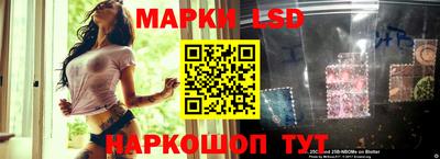 гидропоника Будённовск