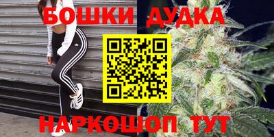 гидропоника Будённовск