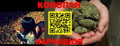 гидропоника Будённовск