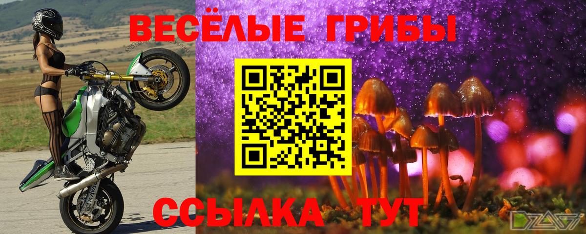 Псилоцибиновые грибы ЛСД Красноперекопск